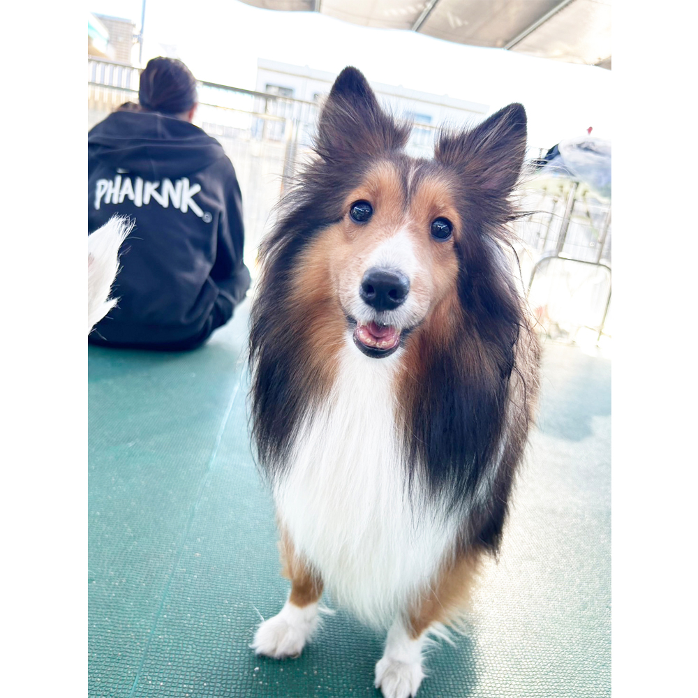 生徒が撮影した写真を送ってくれました！②
